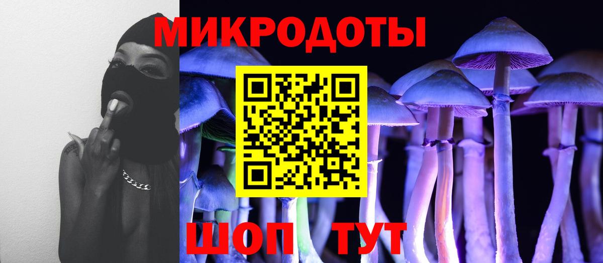 Галлюциногенные грибы Psilocybe Людиново