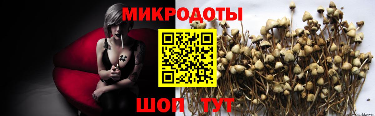 Людиново  Галлюциногенные грибы GOLDEN TEACHER  Вход с VPN 